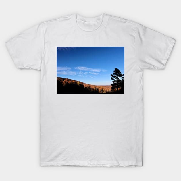 Autumn in Arkansas T-Shirt by somekindofguru